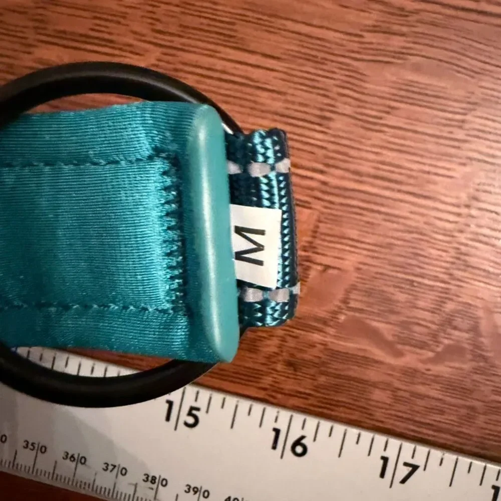 CIYWEE LED Light Up AirTag Dog Collar Teal Medium NIB USB Rechargeable